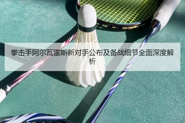 拳击手阿尔瓦雷斯新对手公布及备战细节全面深度解析